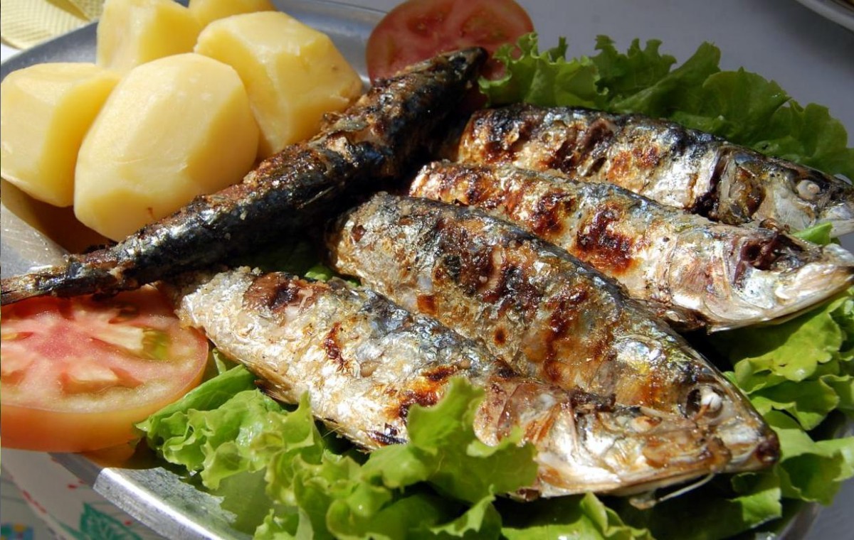 Portugal tem o Melhor Peixe do Mundo Portugal tem o Melhor Peixe do Mundo