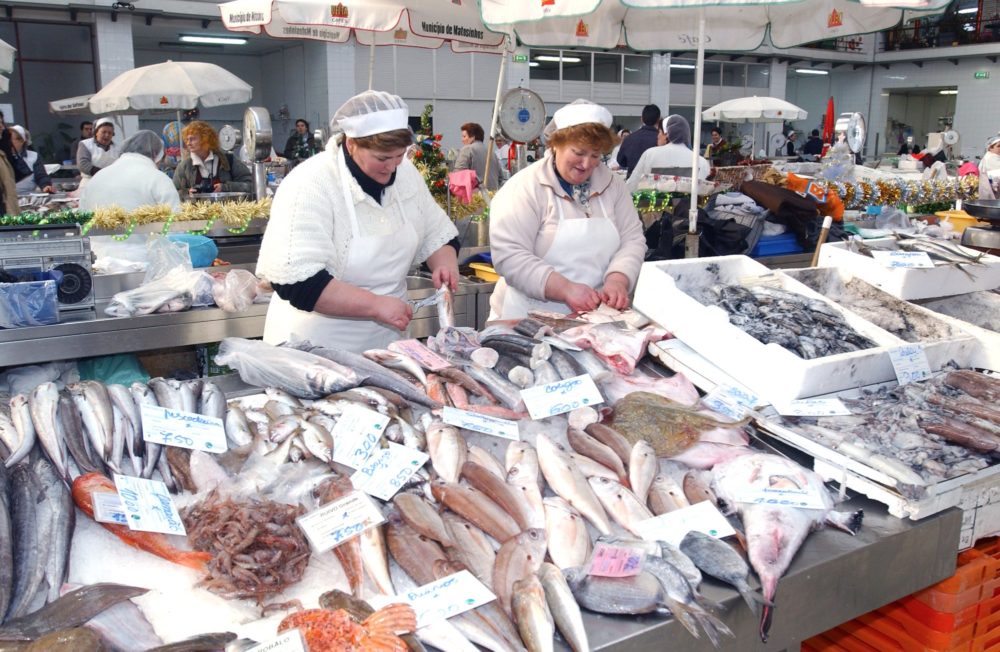 Portugal tem o Melhor Peixe do Mundo Portugal tem o Melhor Peixe do Mundo