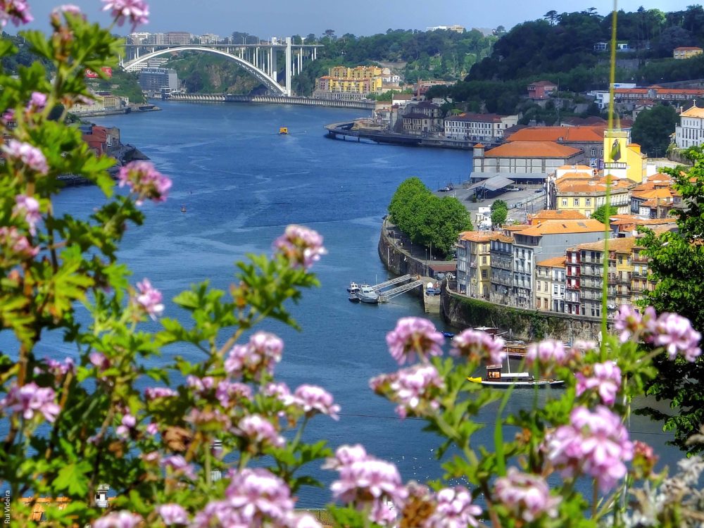 O Porto visto por grandes escritores O Porto visto por grandes escritores
