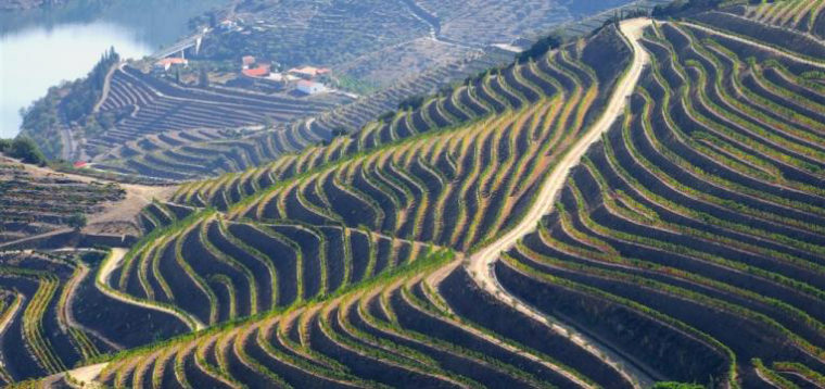 A melhor estrada do mundo é portuguesa