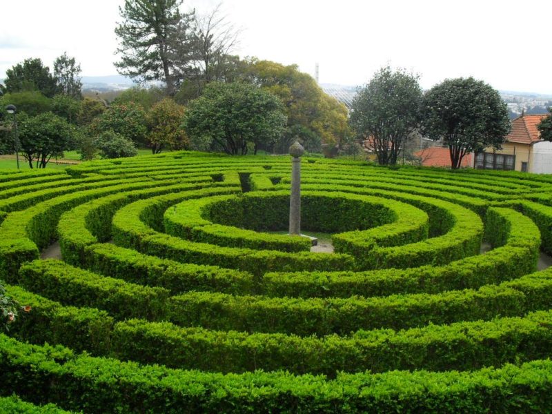 12 jardins encantadores para descobrir no Porto 12 jardins encantadores para descobrir no Porto
