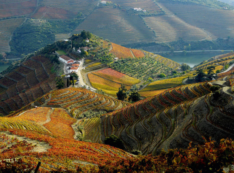 A melhor estrada do mundo é portuguesa
