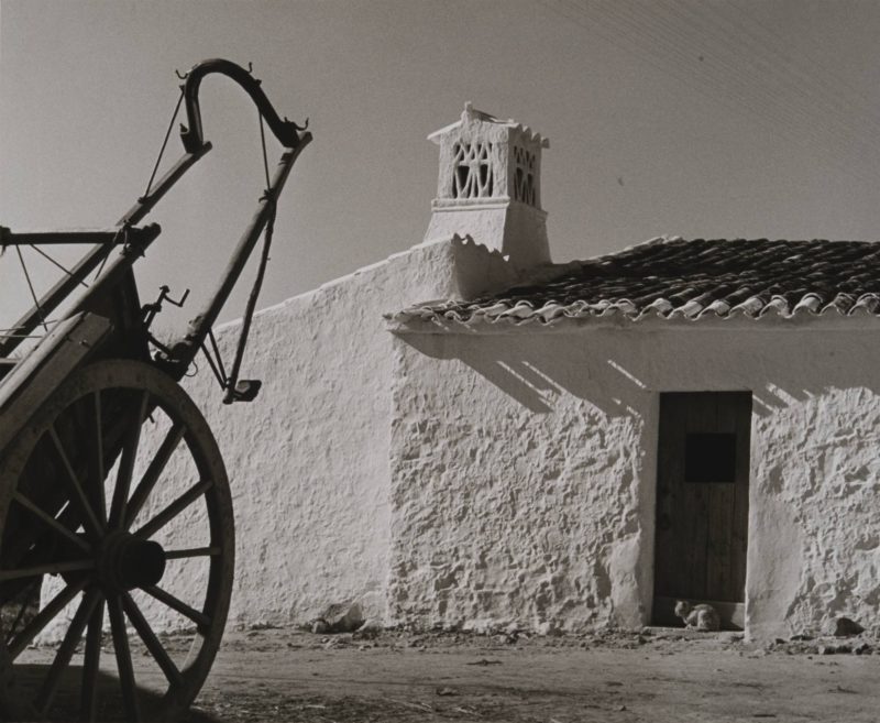 Um passeio fantástico pelo Algarve desaparecido
