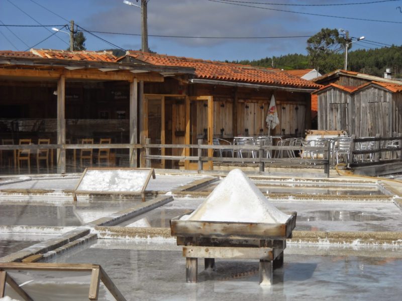 O milagre do sal nas salinas de Rio Maior O milagre do sal nas salinas de Rio Maior