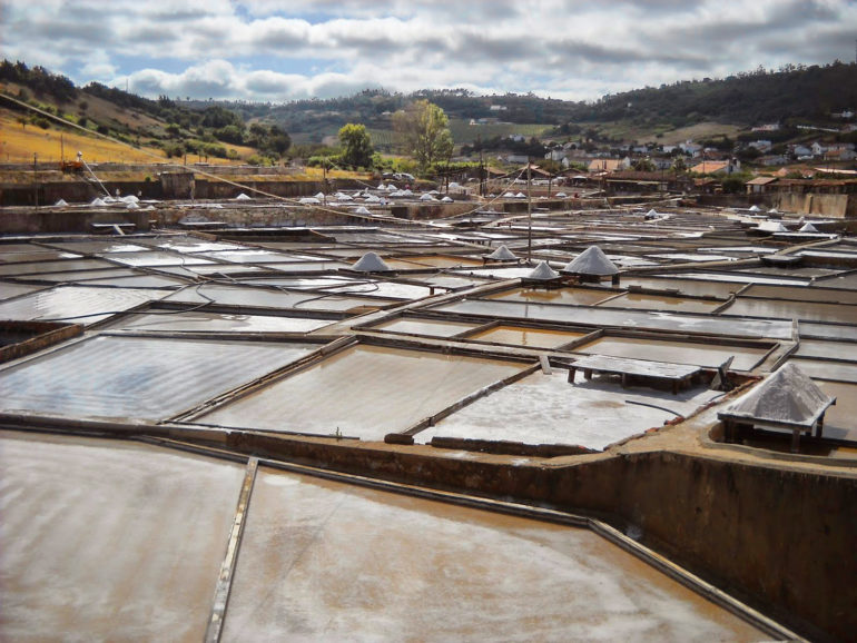 O milagre do sal nas salinas de Rio Maior O milagre do sal nas salinas de Rio Maior