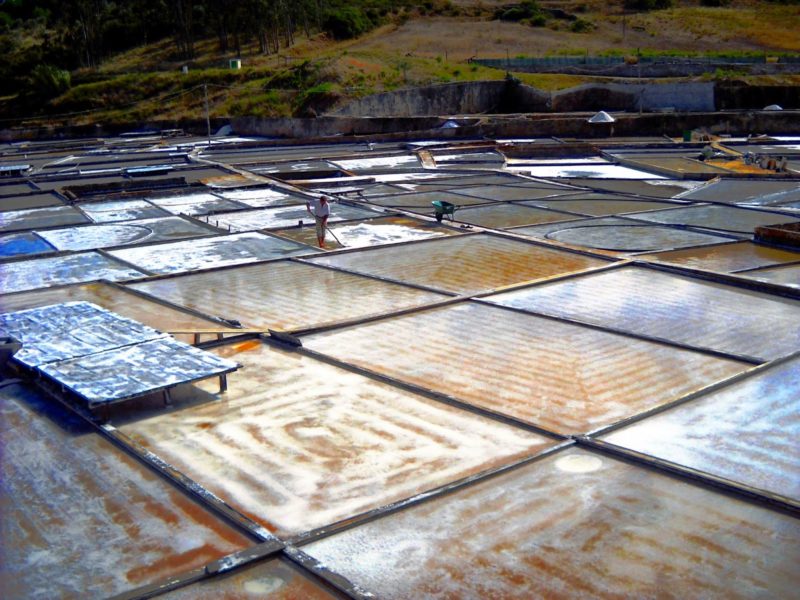 O milagre do sal nas salinas de Rio Maior O milagre do sal nas salinas de Rio Maior