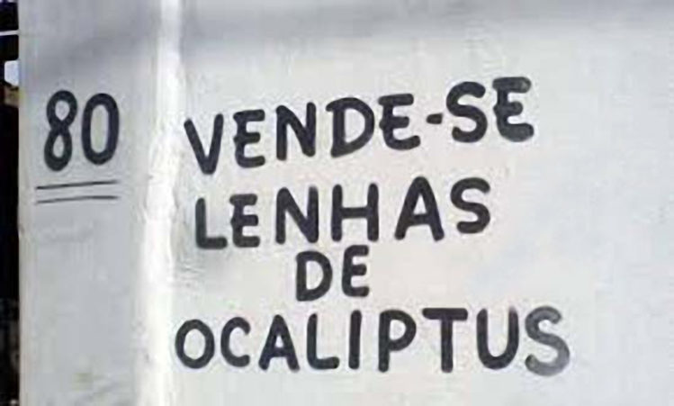 Erros para rir (ou chorar) Erros para rir (ou chorar)