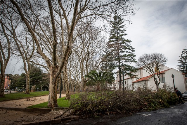 Mau Tempo e os estragos em Portugal (fotos) Mau Tempo e os estragos em Portugal (fotos)
