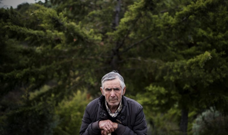 Há 28 anos um povo lutou contra os eucaliptos. E a terra nunca mais ardeu
