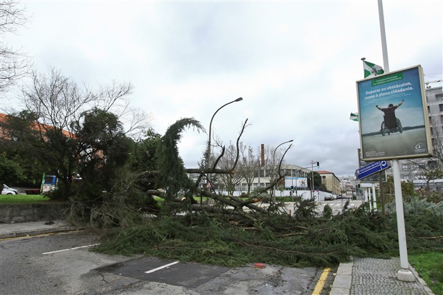 Mau Tempo e os estragos em Portugal (fotos) Mau Tempo e os estragos em Portugal (fotos)