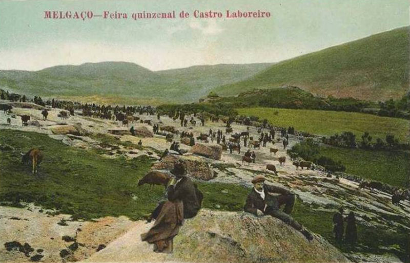 O Dialecto Castrejo O Dialecto Castrejo