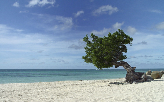 As 25 melhores praias do mundo (1 é portuguesa) Eagle Beach, Aruba
