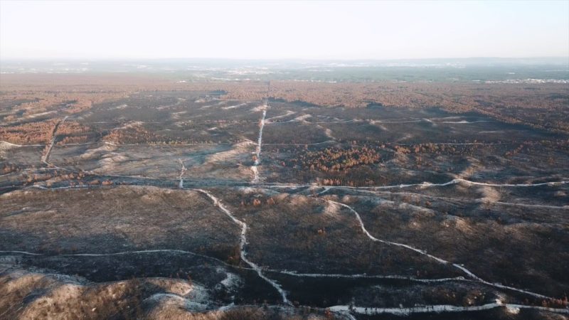 Grande incêndio do Pinhal de Leiria terá sido planeado secretamente entre madeireiros