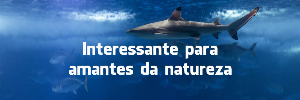 O que dizem os turistas sobre o Oceanário de Lisboa O que dizem os turistas sobre o Oceanário de Lisboa
