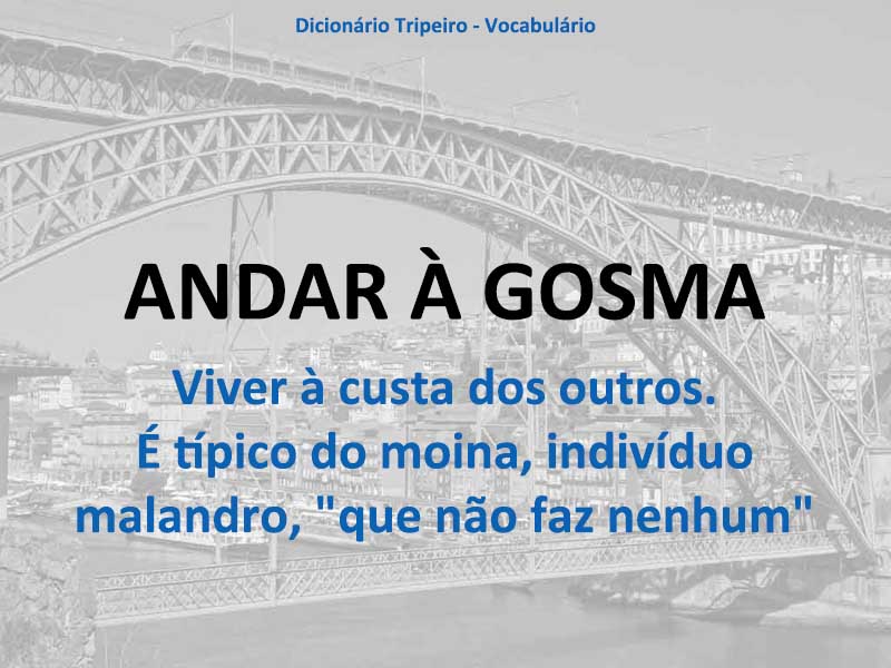 Dicionário Tripeiro, o 'berdadeiro' Dicionário Tripeiro, o 'berdadeiro'