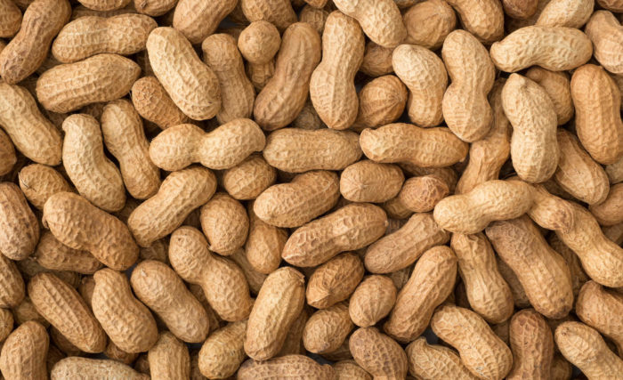 AMENDOINS 5 deliciosos petiscos AMENDOINS 5 deliciosos petiscos