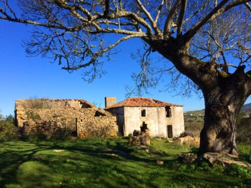 Broas a aldeia abandonada às portas de Lisboa