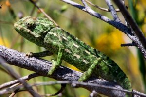 Parque Natural da Ria Formosa é de uma beleza fascinante