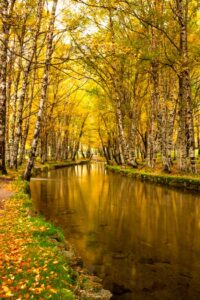 Dos Lugares Mais Bonitos Para Visitar No Outono