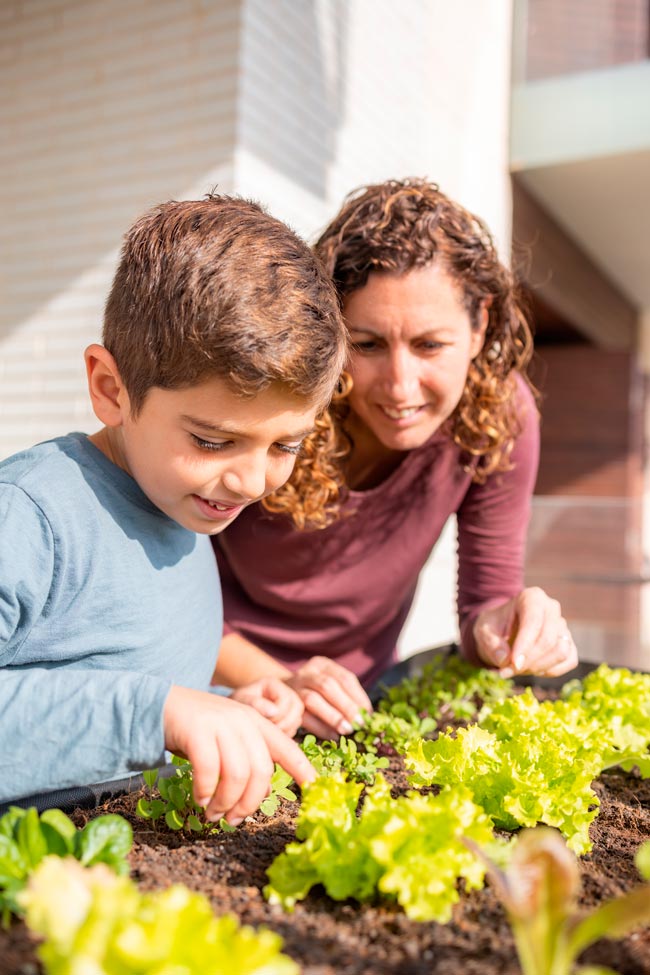 10 Vegetais Para Plantar E Colher Para Sempre