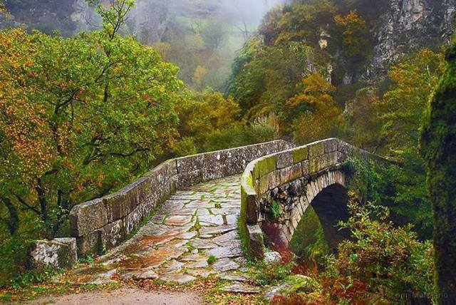 Ponte da Misarela