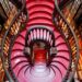 Livraria Lello
