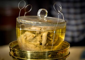 D. Pedro IV: o imenso amor