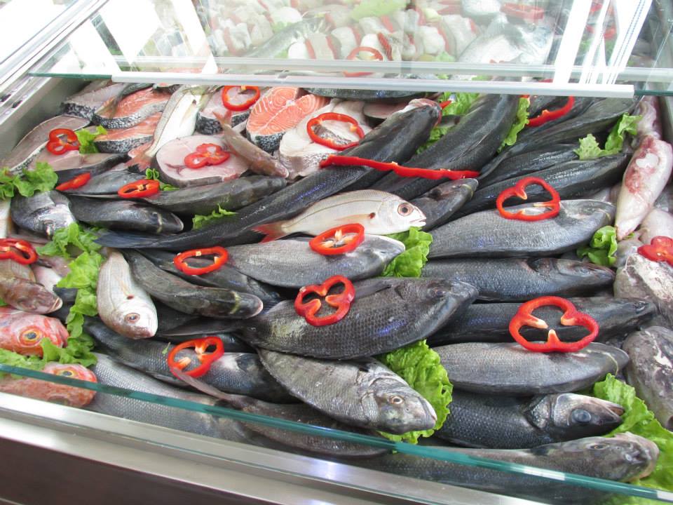 Portugal tem o Melhor Peixe do Mundo