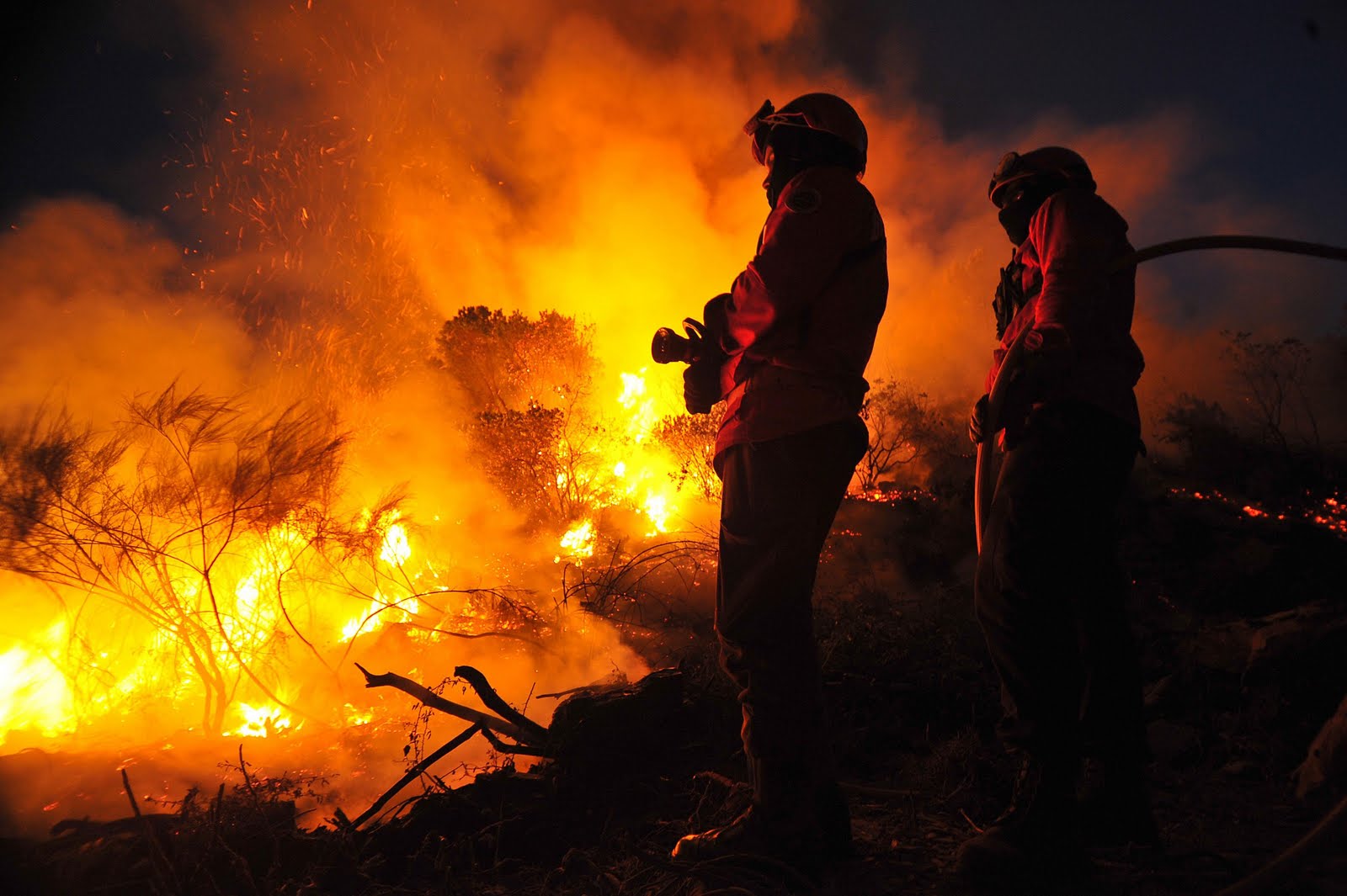 Incêndios: Portugal é fogo que arde sem se prever
