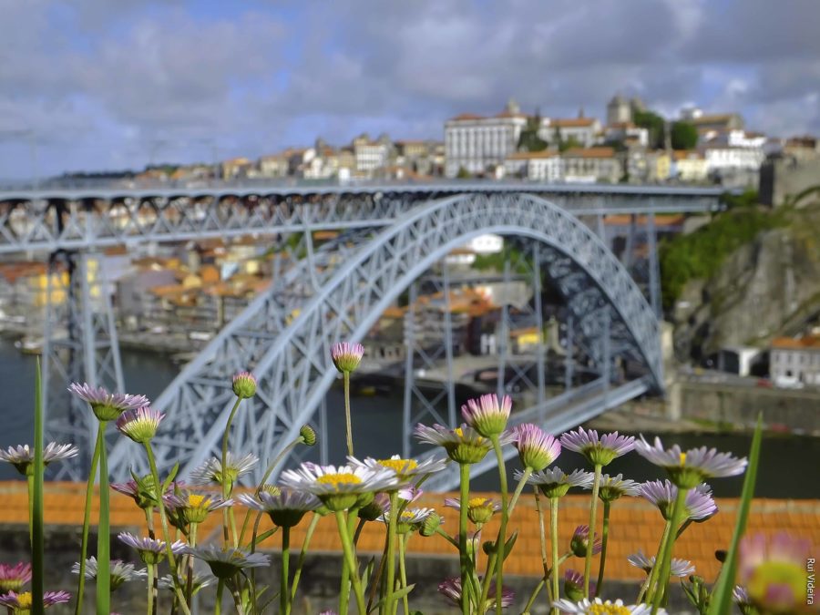 CNN: 20 sugestões para descobrir o Douro