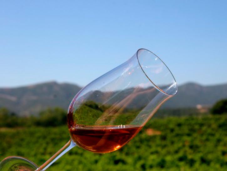 10 destinos no Douro para uma viagem inesquecível em Portugal 10 lugares que não pode perder no Douro