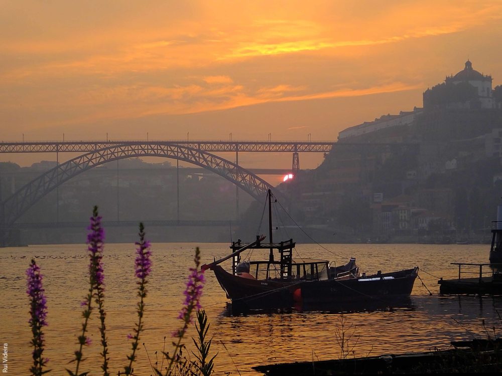 Língua Portuguesa: O Porto visto por grandes escritores