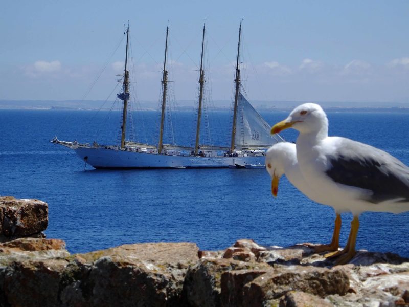 Viagem às maravilhosas Ilhas das Berlengas Viagem às maravilhosas Ilhas das Berlengas