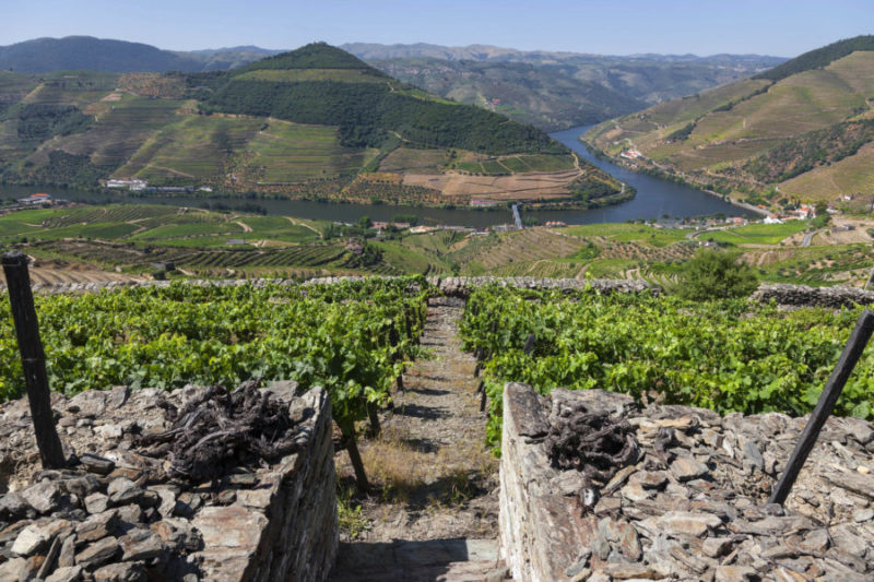 10 lugares que não pode perder no Douro