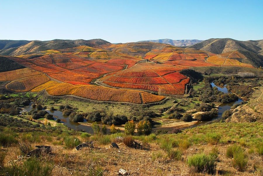10 destinos no Douro para uma viagem inesquecível em Portugal 10 lugares que não pode perder no Douro