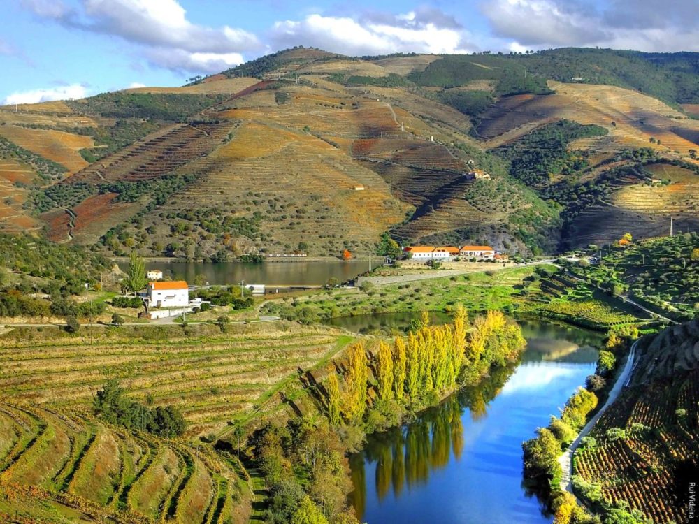 Sabe como se faz o vinho do Porto?