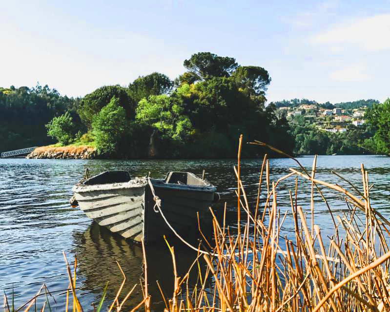 Ilha dos Amores, a preciosa ilha no Douro Ilha dos Amores, a preciosa ilha no Douro