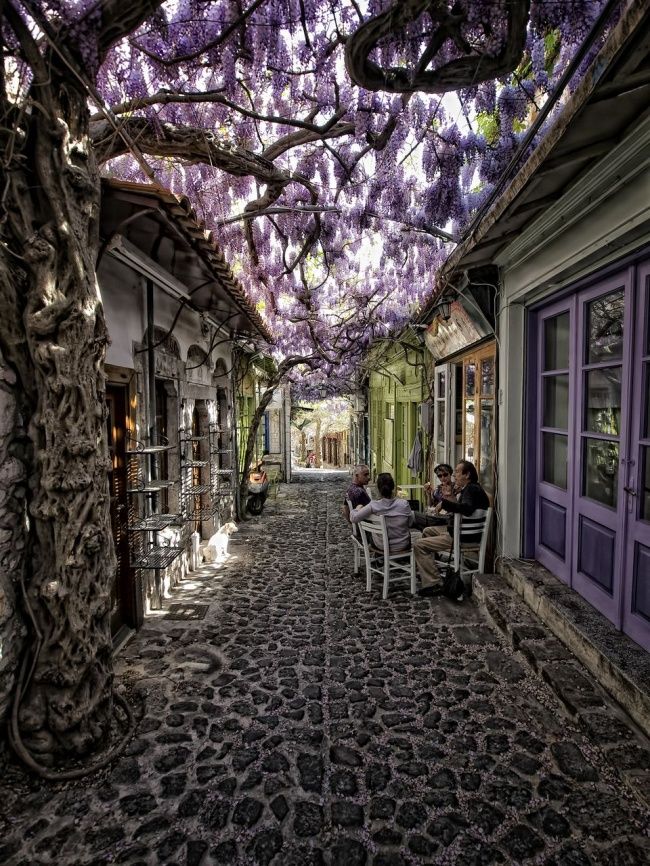 Uma das 24 ruas mais bonitas do mundo é portuguesa