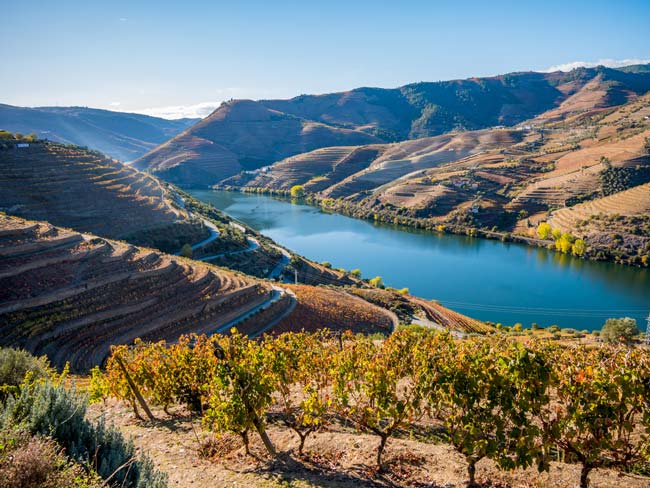 EN222: a melhor estrada do mundo é portuguesa melhor estrada do mundo