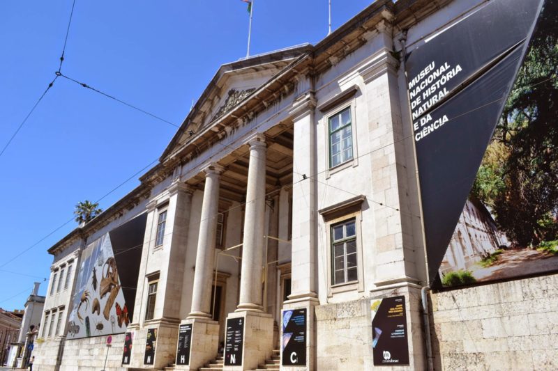 Os objetos mais estranhos nos Museus Portugueses