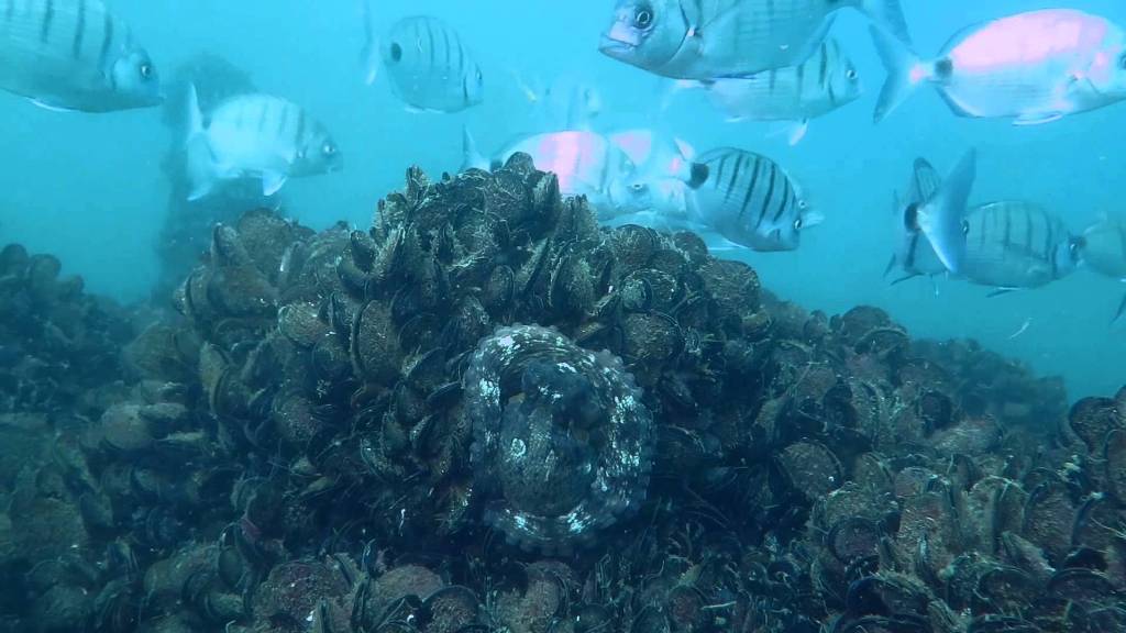 20 locais em Portugal menos conhecidos e imperdíveis 20 locais em Portugal menos conhecidos e imperdíveis