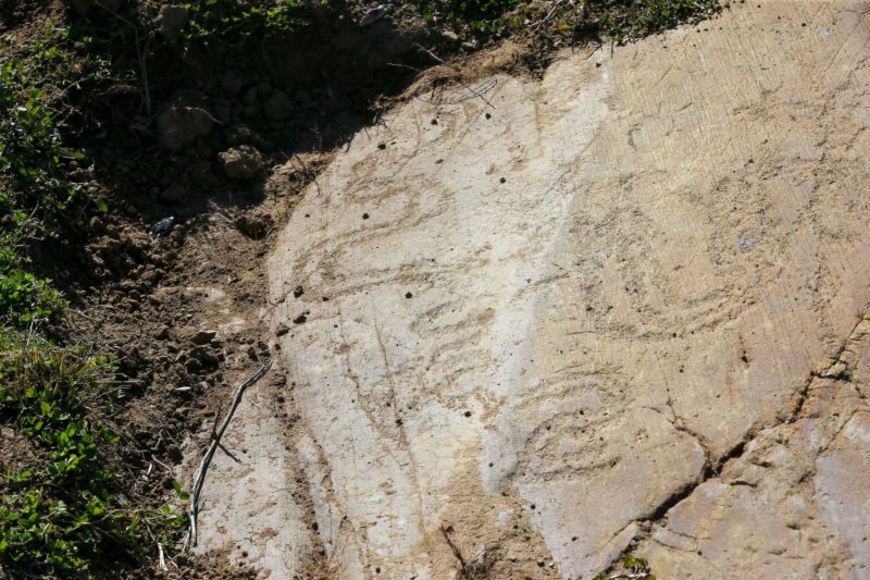 Descoberta mais arte rupestre no Guadiana
