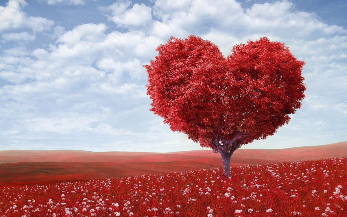 As 25 maiores mentiras sobre o amor