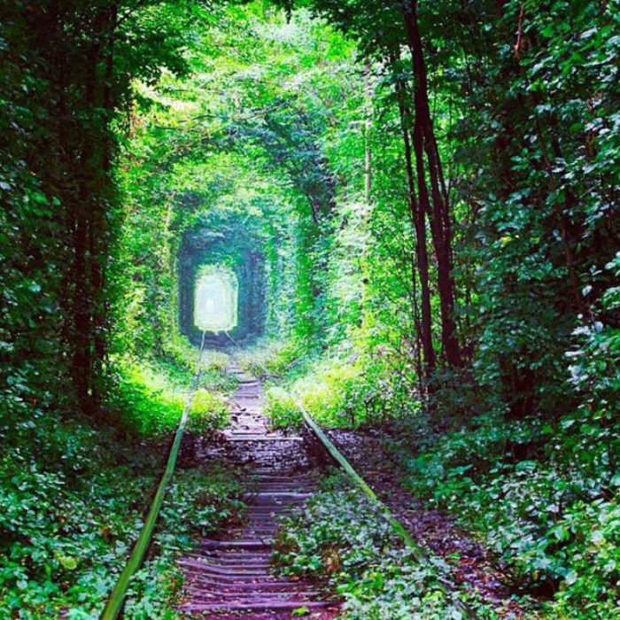 Lugares abandonados engolidos pela natureza Lugares abandonados engolidos pela natureza