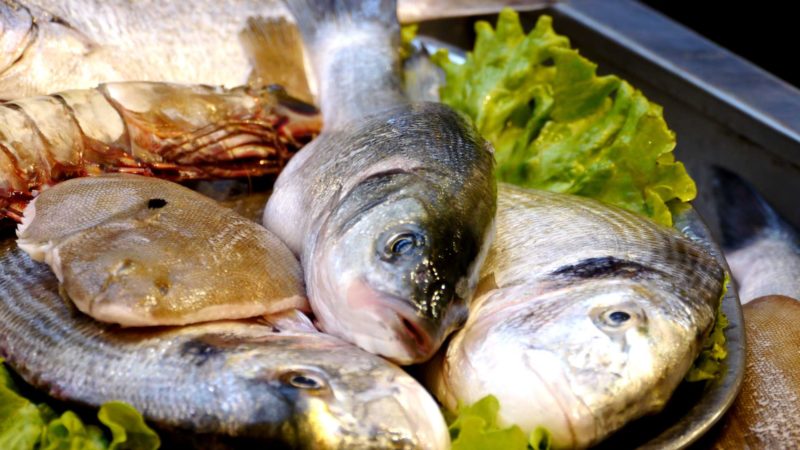 Porque é que os portugueses são o povo europeu que come mais peixe?