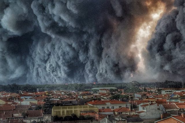 Grande incêndio do Pinhal de Leiria terá sido planeado secretamente entre madeireiros Grande incêndio do Pinhal de Leiria terá sido planeado secretamente entre madeireiros