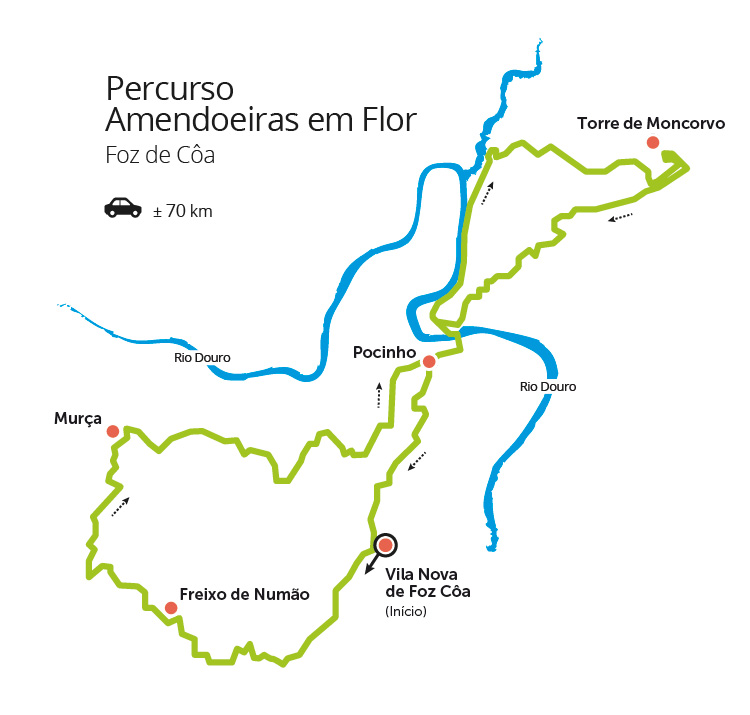 Portugal em Flor: 8 fantásticos locais floridos