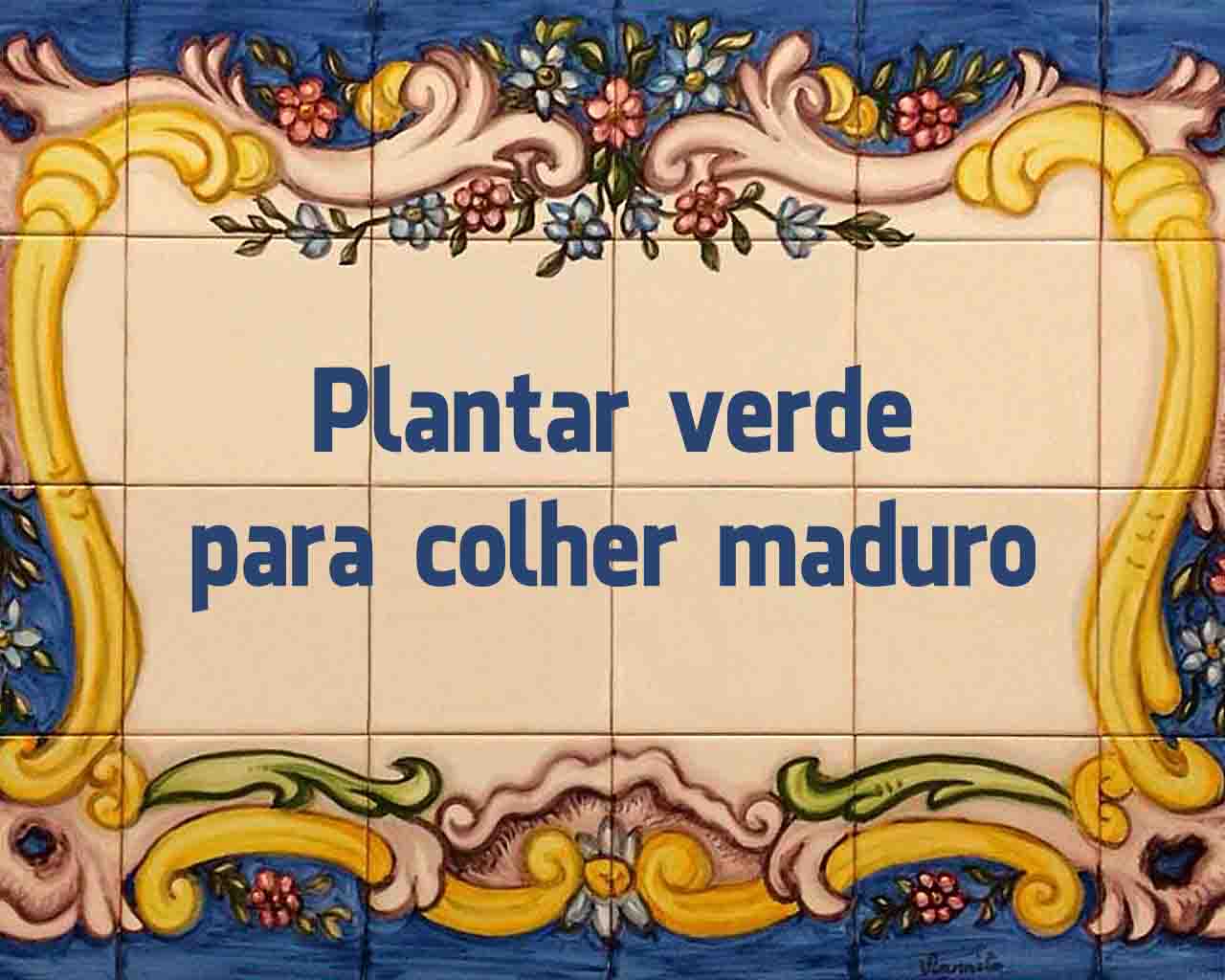 30 dos melhores Provérbios Populares Portugueses melhores provérbios portugueses