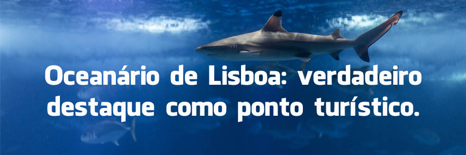 O que dizem os turistas sobre o Oceanário de Lisboa