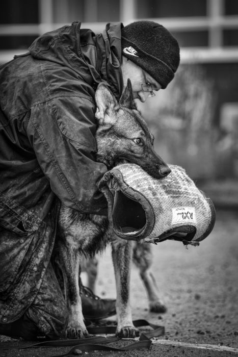 Portuguesa entre os melhores fotógrafos de cães em 2018